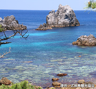 式根島のおすすめスポット・中の浦海水浴場