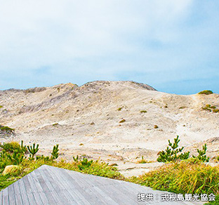 式根島のおすすめスポット・唐人津城