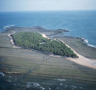 宮崎　青島（イメージ）