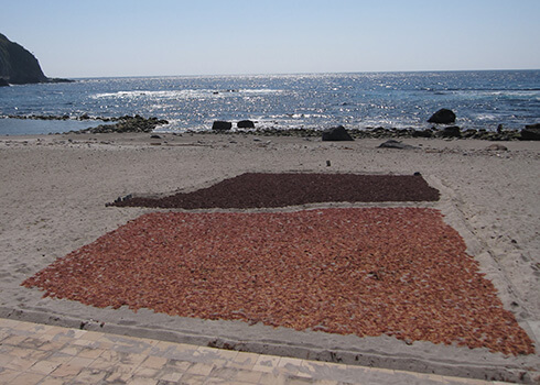 神津島の特産品