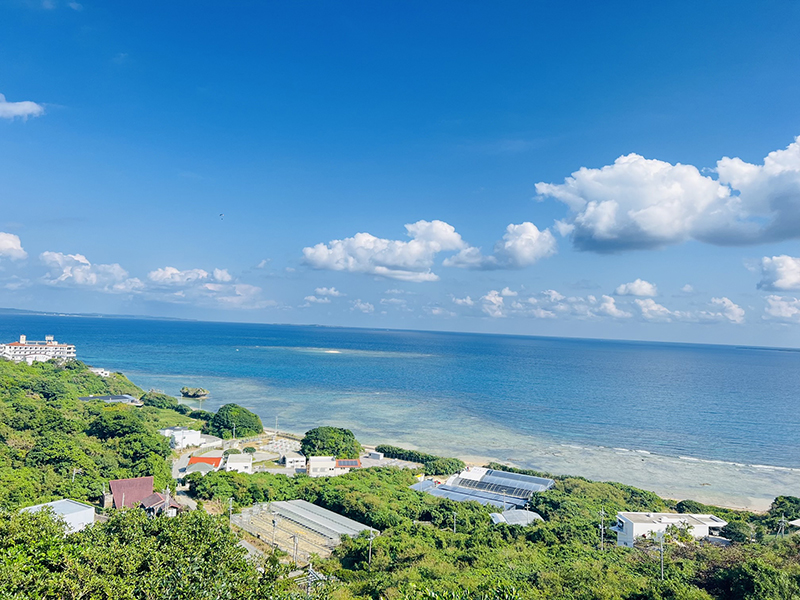 南城市