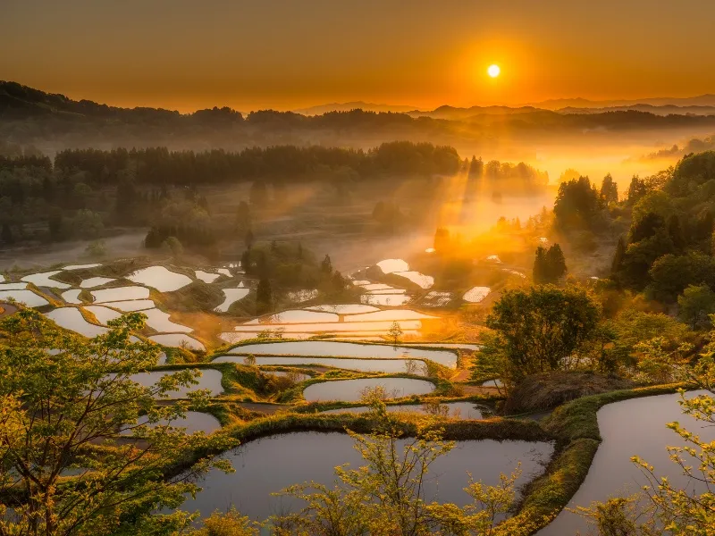 新潟県